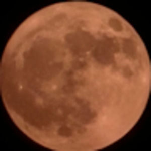 Meet your Posher, Natmo